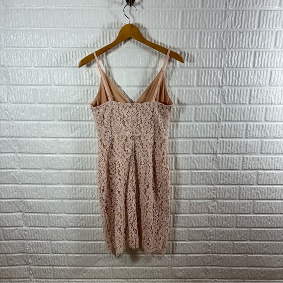 Lulus She's A Knockout Blush Lace Sheath Dress Small NWT - Picture 4 of 7